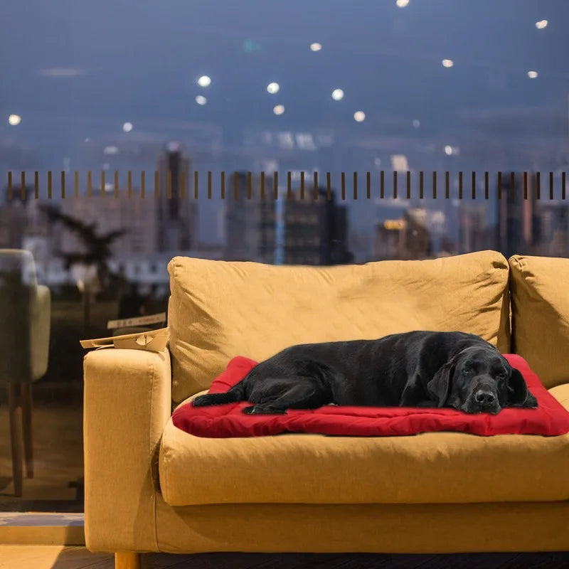 The Basecamp Packable Dog Sleeping Bed