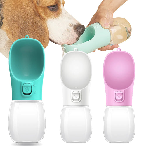 The Trailblazer 3-in-1 Hydration Flask