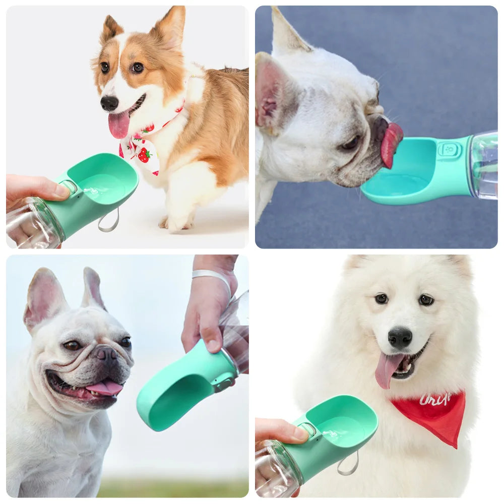 The Trailblazer 3-in-1 Hydration Flask